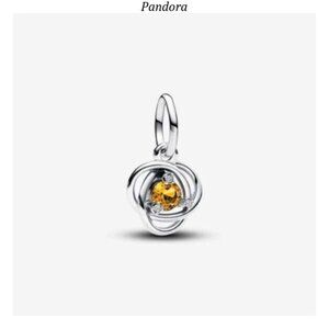 Pandora charms